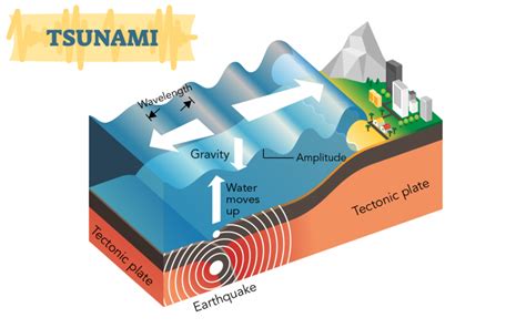 Waves, Tides and Tsunamis - Let's Talk Science