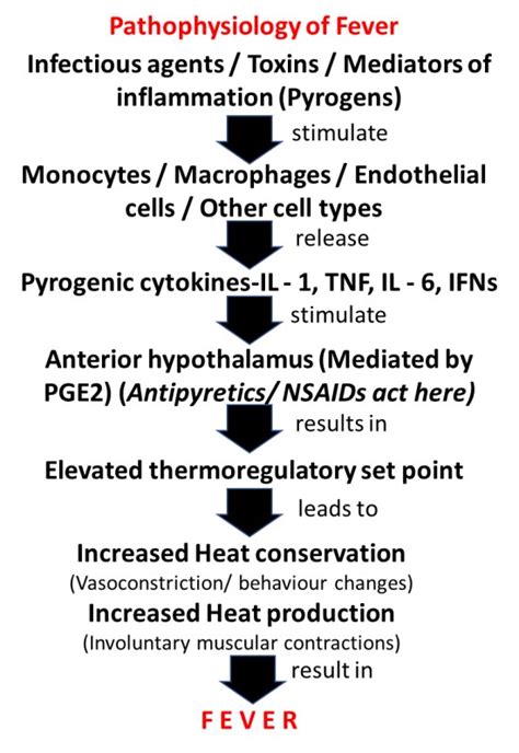 Step Ladder Fever 的图像结果