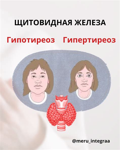 Меруерт Мырзакулова | 🎊В честь нашего юбилея получите Комбо «щитовидная ...