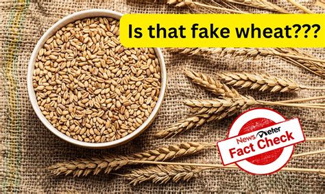 Fact Check: Video of plastic waste granulation passed off as fake wheat ...