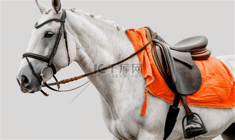 马上行动 的图像结果