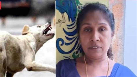 Stray Dog | തൃശ്ശൂരിൽ തെരുവുനായയുടെ കടിയേറ്റ് ചികിത്സയിലായിരുന്ന സ്ത്രീ ...