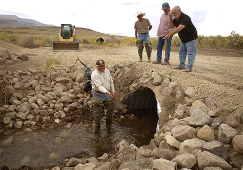 New culvert on Mahogany Creek near Summit Lake | FWS.gov