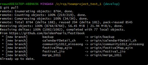 Merge Flutter Code From GitHub 的图像结果