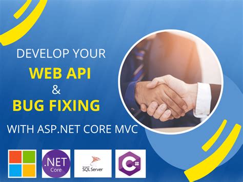 ASP.NET Core MVC API 的图像结果