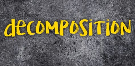 Image result for decomposition.