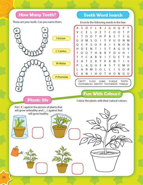 JoGenii | 365 Activity Books pakc (3 Titles)| Dreamland Publications