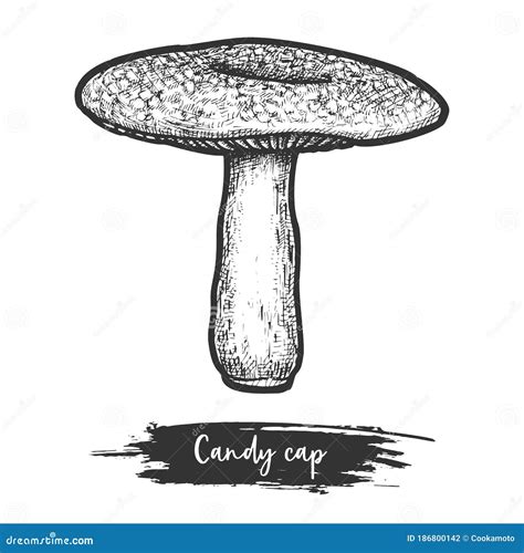 Hand Drawn Candy Cap Mushroom or Milkcap Shroom Stock Vector ...