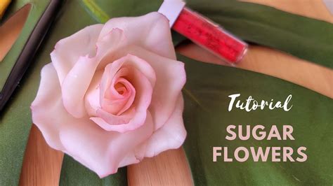 Image result for Sugar Rose Tutorial