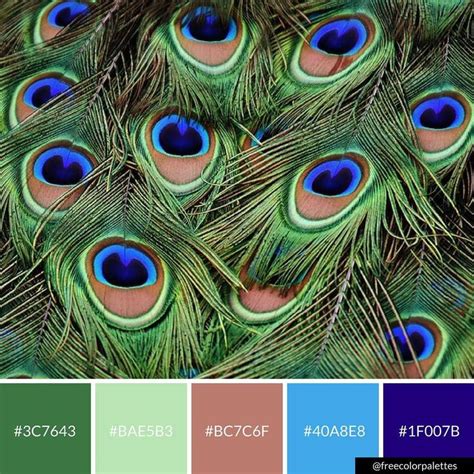 Image result for Pet Sim X Script Tutorial