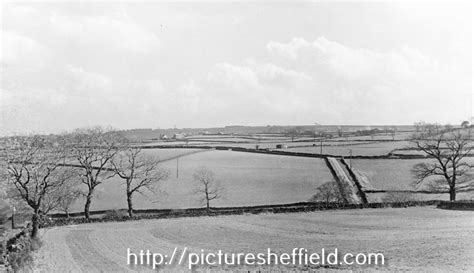 Searching Picture Sheffield
