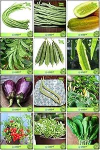 Creative Farmer Gardening Seeds Combo Vegetable Seeds : Cowpea (Vj ...