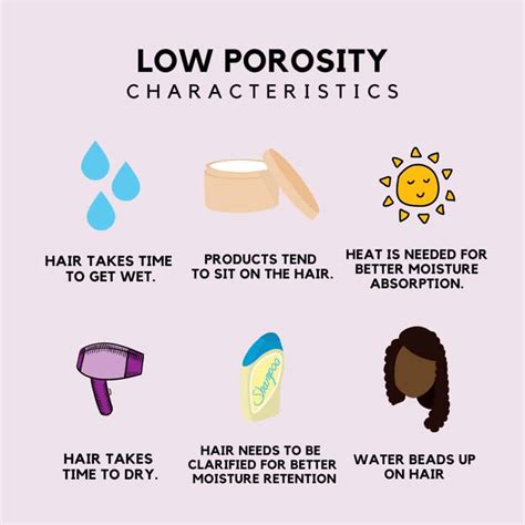 Low vs High Porosity Hair: What's The Difference?