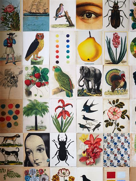 Patchwork Poster 的图像结果