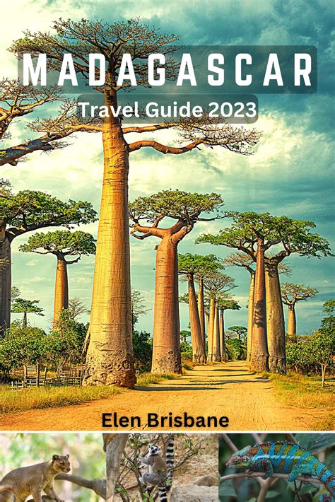 Madagascar Travel Guide 2023: Explore The Beautiful Island of ...