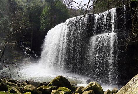 THE BEST Places to Visit in Beersheba Springs (2026)