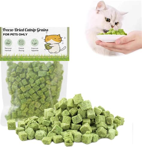 Amazon.com : 60g/4.12oz Cat Grass Teething Toy Hairballs,Chew Treats for Cats,Edible Cat Chew ...