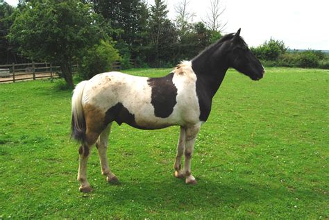 Image result for Vertus Fluid Mask Tutorial