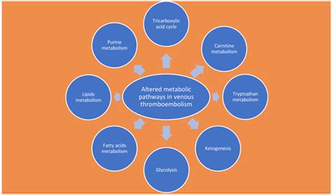 The Role of Biomarkers, Metabolomics, and COVID-19 in Venous ...