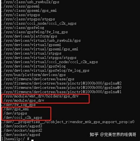 LocalLoop Provider 的图像结果