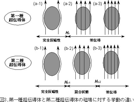 Introduction to Python Coding に対する画像結果