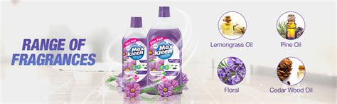 Maxkleen 2in1 Disinfectant Surface & Floor Cleaner Combo 975ml+500ml ...