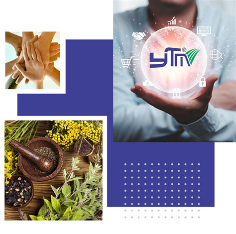 YTM India Marketing Pvt Ltd. About Us