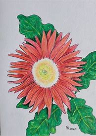 Image result for Colored Pencil Drawings of Tulips