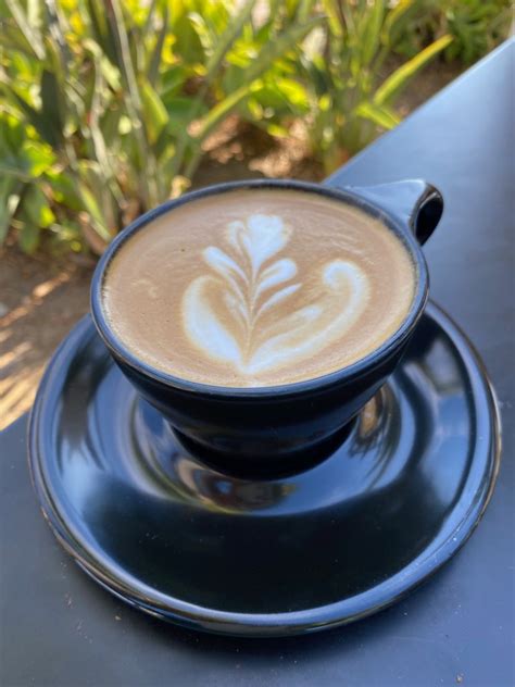 Great Coffee In Santa Barbara, CA - Live and Let's Fly