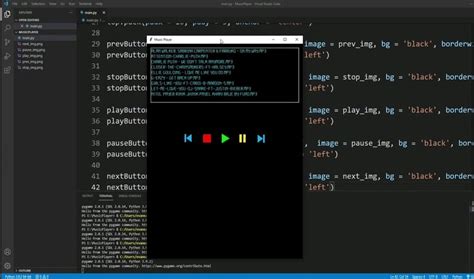 Musique Python 的图像结果