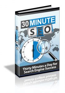 30 Minute SEO Review - 30 Minutes is not Enough for Successful SEO ...
