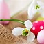 Image result for Beautiful Easter Pictures of Nature