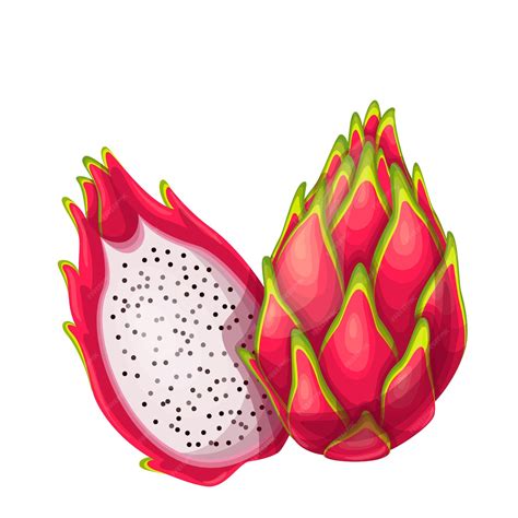 Premium Vector | Whole and half red pitaya fruits in cartoon style.