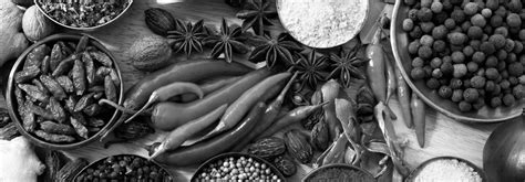 A Story for a Verse - Mallinatha | Prekshaa