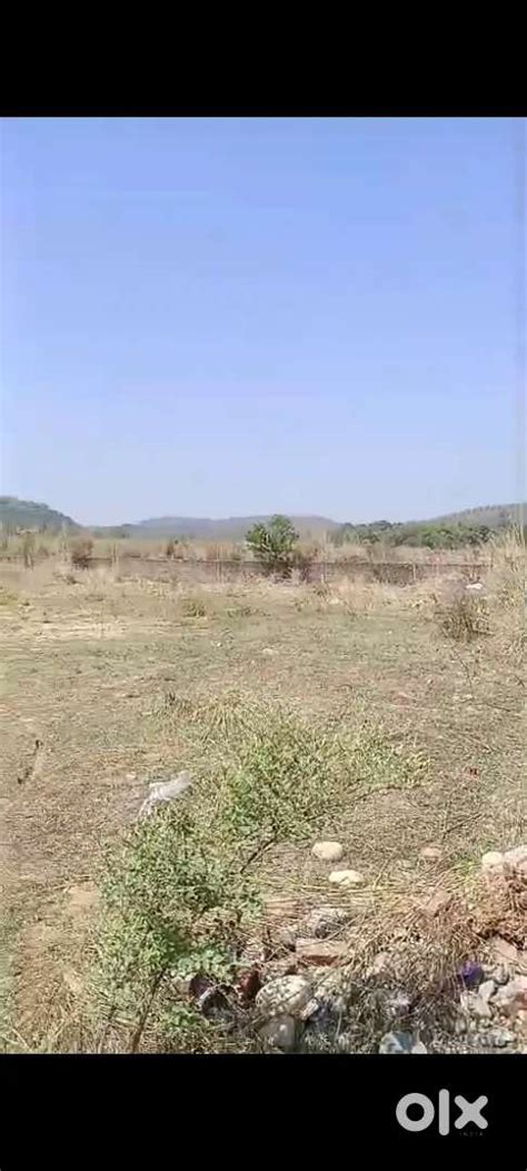308 Acre Agriculture land in Talwara without any section - Lands ...