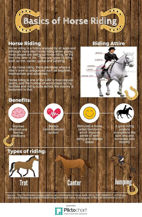 Facts, Advices and Basics of Horse Riding | by Maryam AlShamsi | Medium