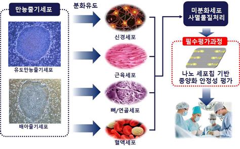 Image result for Problem Formulation Process