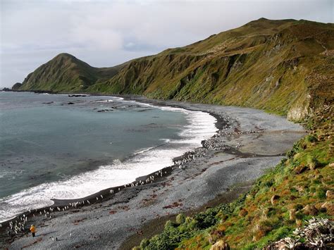 5-five-5: Macquarie Island (Australia)