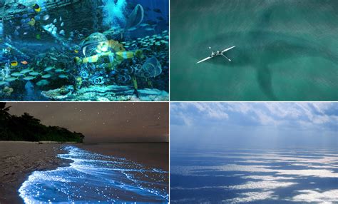 Hidden Mysteries: Secrets Of The Bermuda Triangle Revealed
