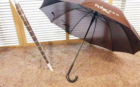 你知道古时候最接近伞的东西是什么？关于伞的小知识，来这里寻找答案吧！_中国