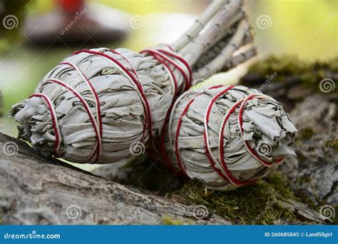 Two White Sage Smudge Sticks Close Up Stock Image - Image of medicine ...