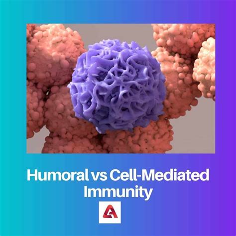 Humoral vs Cell-Mediated Immunity: Difference and Comparison