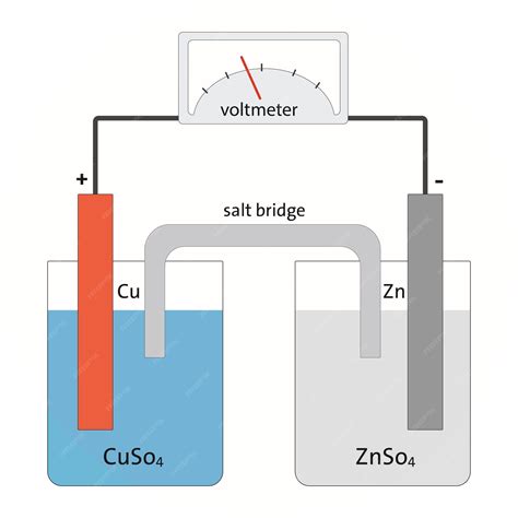 Premium Vector | Galvanic cell diagram cu zn salt bridge cuso4 znso4
