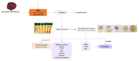 Microwave-Assisted Extraction of Carrageenan from Sarcopeltis skottsbergii