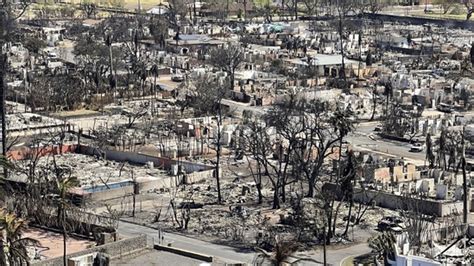 Hawaii wildfires: Death toll surge to 80, say county officials | World News