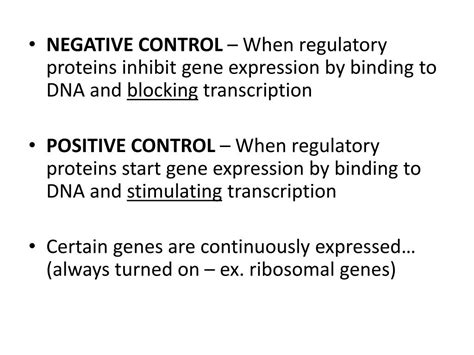 Image result for Positive and Negative Control Gene Regulation