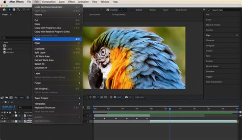 Image result for How to Copy and Paste Keyframes After Effects