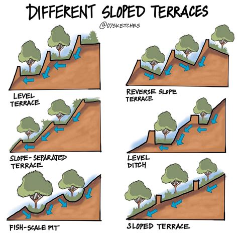 Curvas De Nivel Primaria - MAGEDU
