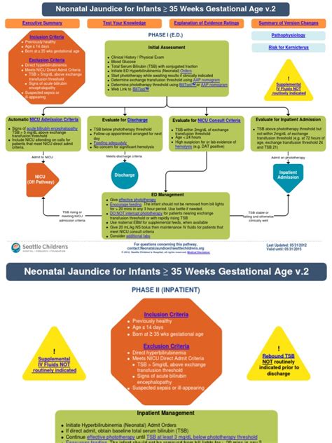 Image result for Neonatal Jaundice Algorithm