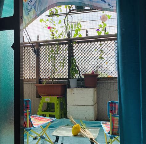 Challah and Cherry Blossoms: Succah, Succot, Mitzvah, Mitzvot!